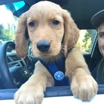 Samson Murphy - @thegoldenboy_samson - Instagram
