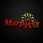 Samson Murphy Omoruan - @samsonmurphy - Instagram
