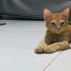 Samson Sanchez - @sam151983 - TikTok