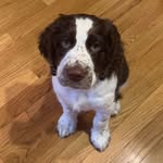 Samson Skippy Sanchez - @samson.sanchez_ - Instagram