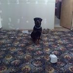 Samshady - @ackleysamuel - Instagram