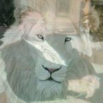 Samuel Ackley - @samuelackley - Instagram