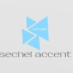 Samuel Aidoo - @sechelaccentviz - Instagram