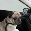 Samuel Aitken - @samuel.aitken - TikTok