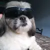 Samuel Alberto - @samuel.alberto159 - TikTok