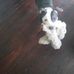 Samuel Albright - Facebook
