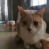 Samuel Alcala - @samuel.alcala985 - TikTok
