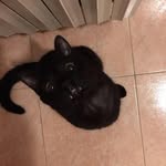Samuel Piasentin Alessio - @samuelpiasentinalessio - Instagram