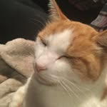 Samuel Allgood - @s.a.m__allgood - Instagram