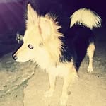 Samuel Almanzar - @samuelamanzar22 - Instagram