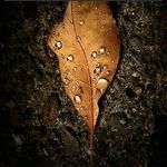 Samuel Almazan - @samuel.almazan.7967 - Instagram