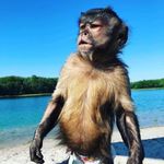 Samuel Perales Almazan - @samuel_perales21 - Instagram