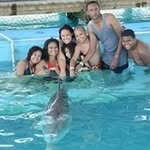 Samuel Almonte - @samuelalmonte4 - Instagram