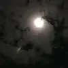 Samuel Almonte - @samuel.almonte80 - TikTok