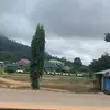 samuelamponsah133 - @samuelamponsah133 - TikTok