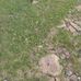 Samuel Anaya - Facebook