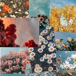 samkamkam - @samuelandayakalala - Instagram