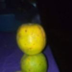 Samuel Andoh - @samu.elandoh - Instagram