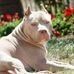 Samuel Aparicio Carranza Cisneros - Facebook