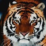 Samuel Araiza - @samuel.araiza.75 - Instagram