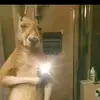 Samuel.Suviria.Araiza.15 - @samuel.suviria.araiza.15 - TikTok