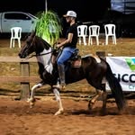 Samuel araujo - @samuelaraujo1622 - Instagram
