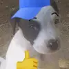 Samuel Arevalo - @samuel.arevalo33 - TikTok