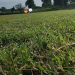 Samuel Arguello Mendez - @samuel_arguello_17 - Instagram
