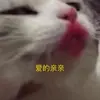 SamuelAaron - @31022760096 - TikTok