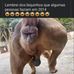 Samuel Arone - Facebook