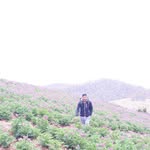 Samuel Arone Arteaga - @aronearteaga - Instagram