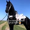 Samuel Arriaga - @samuelarriaga - TikTok