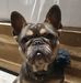 Samuel Ashmore - Facebook