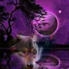 Samuel Ashmore - @samuel.ashmore - TikTok