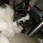 Samuel Atchison - Facebook
