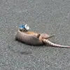 Samuel Aultman - @samuel.aultman - TikTok