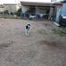 Samuel avila - Facebook