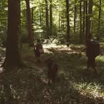 Samuel Bachmann - @samelisams - Instagram