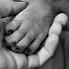 samuelbachmann - @samuelbachmann68 - TikTok