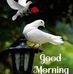 Samuel Baidoo - Facebook