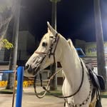 Samuel Ballak - @samuel_ballak_14 - Instagram
