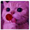 Samuel Bąltåzär 502. - @samy.baltazar.502 - TikTok