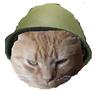 Samuelbarrick07 - @betterdedthanred - TikTok