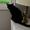 Samuel Barrow - @sammyabarrow - TikTok