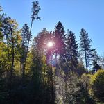 Samuel Barth - @samuelbarth31 - Instagram