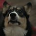 Samuel Barth - Facebook