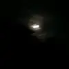 Samuel Baskins - @cricket_433614 - TikTok