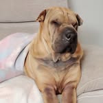 Samuel Bastard - @samuelbastard46 - Instagram