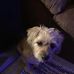 Sam Batts - Facebook