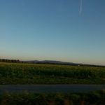 Samuel Baumann - @samuel_feuerwehr - Instagram
